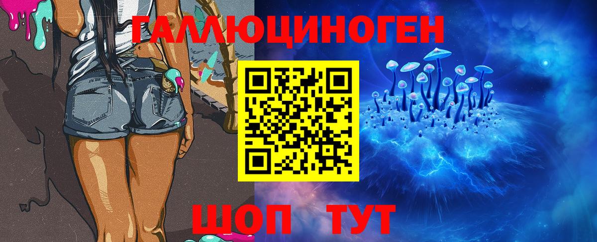 Псилоцибиновые грибы Psilocybe Рославль