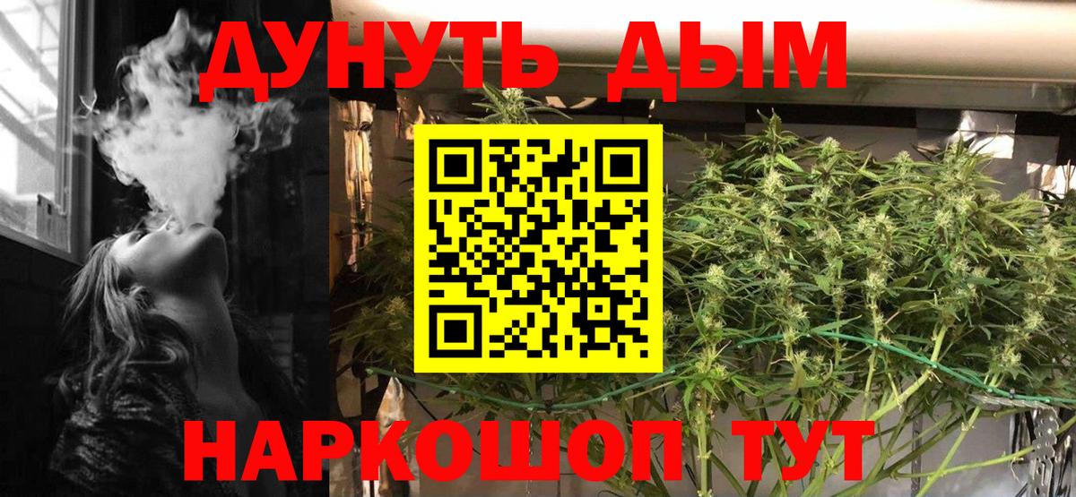 МАРИХУАНА планчик  Марихуана ГИДРОПОН  Рославль  Вход с VPN 